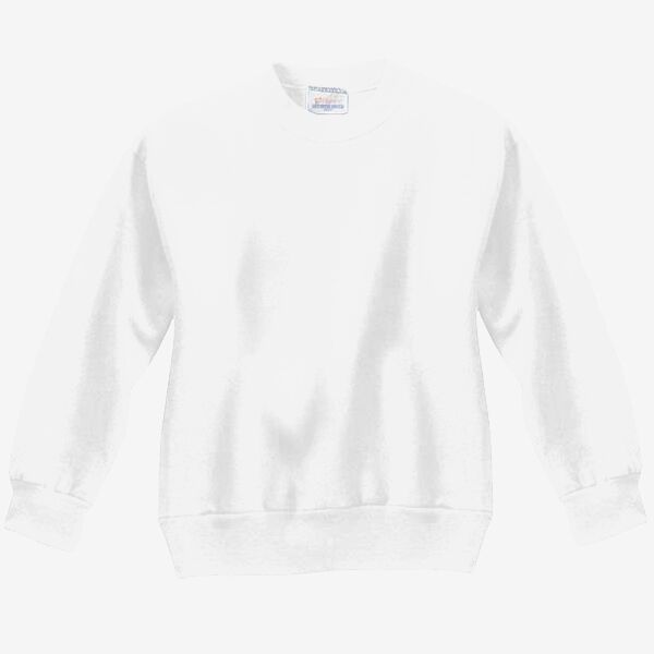 CONTRACT Youth Crewneck Sweat - you supply Thumbnail